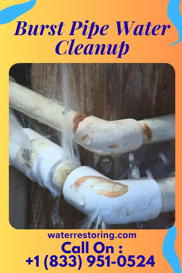 Burst Pipe Water Cleanup in Melrose Park, NY