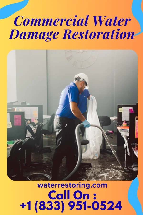 Commercial Water Damage Restoration in Melrose Park, NY