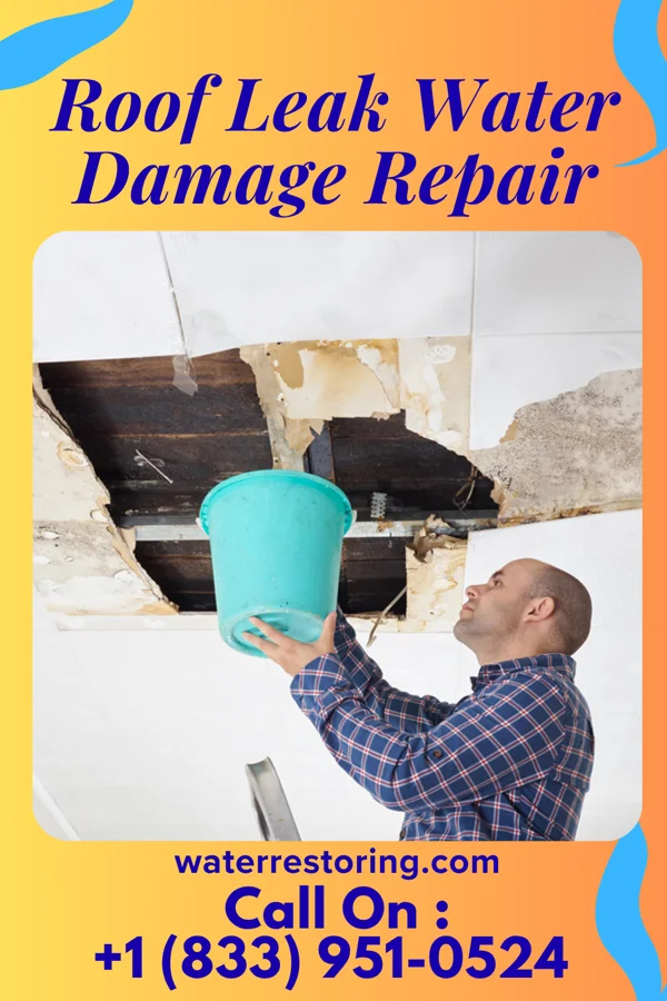 Roof Leak Water Damage Repair in Melrose Park, NY