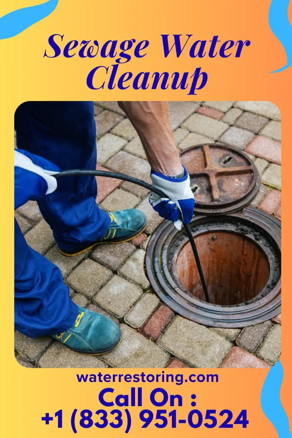 Sewage Water Cleanup in Melrose Park, NY