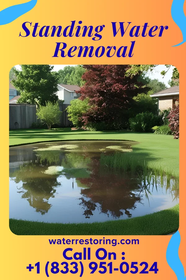 Standing Water Removal in Melrose Park, NY